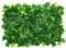 Panneaux muraux de Plantes artificielles 40,6 x 61 cm, Mur d'herbe réaliste et Vibrant, Mur décoratif Qui ne se décolore Pas, Mur végétal Dense pour Centre Commercial intérieur et extérieur, 2.