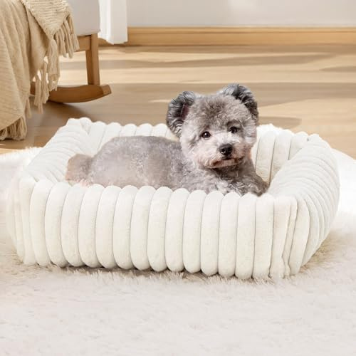 XIAPIA Katzenbett Flauschig Washbar 63x53x18 cm, Plüsch Katzen Schlafplatz Weich und Warm für Katzen Kleine Hunde, Orthopädisches Kuschelbett mit Rutigfester Boden Weiß