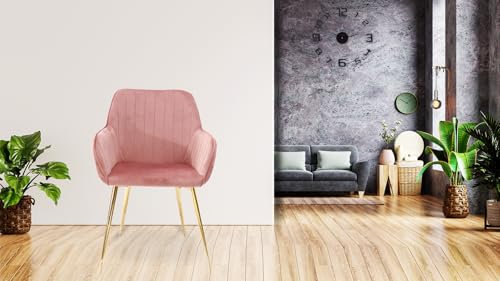 HYGRAD® Set of 2 Velvet Dining Chairs With Gold Legs, Soft Padded Upholstered Seating for Home, Restaurant, Cafe, Office (Pink)