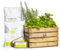 Urban Hochbeet Balkongarten Cottage - Beet-Set mit Pflanzenkiste, Erdschichten, Pflanzen und Anleitung (Salattheke)