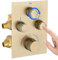 3 Way Concealed Shower Mixer Valve, 3 Outlet Shower Valve, Adjustable Water Flow and Temperature, 3 Outlet Can Simultaneous Operation, Brushed Gold