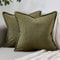 DakTou Kissenhülle 40x40 Grün Gestreifte Kordsamt Kissenbezug 2er Set Modern Boho Sofakissen Dekokissen Kissenbezüge Zierkissenbezüge mit Genähtem Rand für Sofa Sessel Zuhause Schlafzimmer