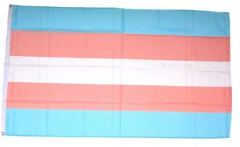 Flagge/Fahne Transgender Gender 90 x 150 cm