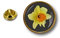 Akachafactory pins pin Badge pin's Metal Broche Pince Papillon Drapeau Jonquille Saint David