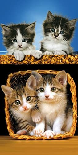 Detexpol Katzen Kätzchen Motiv Strandtuch Badetuch 70cm x 140cm