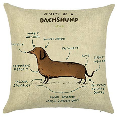 EHOMERY Kissenbezüge Gartenmöbel Kissenhüllee Dackel Seide Zierkissenbezüge Kissenbezügegarten Kissenbezug Set Cord Wohnzimmer Sofa Dekoration Braun-Beige 16X16 Inches