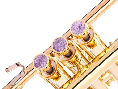 Heavy Trompete Custom Finger Buttons für alle Yamha (All YTR), Stomvi, Shagerl, Carol Brass und Fides Trompeten, Yamaha Flügelhorn 631/731, Yamaha Kornett Modelle (24K vergoldet, Charoite)