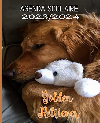 Agenda scolaire 2023 2024 Chien golden retriever: Planificateur journalier pour étudiants de septembre 2023 à juillet 2024, 294 pages, taille : 19,05 x 23,5 cm