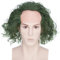 PARXITN Herren Perücke Synthetisch Kurz Glatze Perücke Cosplay Joker Dunkelgrün Flauschig Mais Lockig Halloween Fancy Dress Kostüm Perücken für Unisex