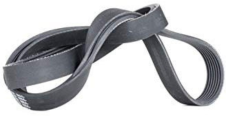 Contitech 7PK1770 V-Ribbed Belts