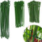 NITAIUN 160 Pcs Attache de Plante Liens Réglables de Jardinage, Attache et Soutien pour Plantes, Aider à Soutenir Les Plantes et Arbuste, Attaches De Torsion en Plastique Flexible (3 Tailles)
