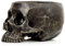 Generisch Totenkopf Skull Totenschädel Gothic Pflanztopf Blumentopf Deko Schale