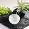 H&H HOMEDECOR LTD Selenite Crystal Charging Bowl - White Selenite Alter Bowl for Cleanse, Meditation, Spiritual Recharge & Decoration - Multiple Sizes (6 Cm)