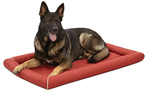 MidWest Homes for Pets XL QuietTime MAXX Ultra-Rugged Dog Bed, Water & Odor Resistant, Bolstered Edge, Non-Slip Bottom, Fits 48-inch Crates, Brick