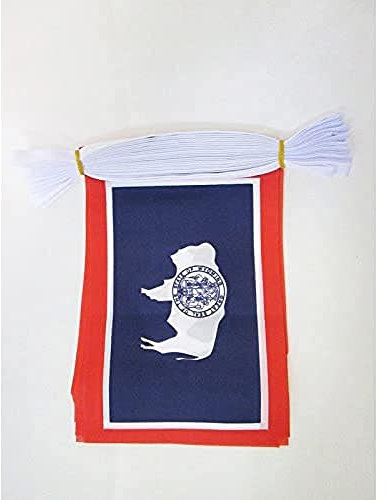 AZ FLAG - Guirlande Drapeau Wyoming - 6 Mètres Avec 20 Fanions Etat Américain - Usa - Etats-Unis De 21x14 cm - Petits Drapeaux 100% Polyester - 60g
