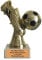Larius Fußball Goldener Schuh Trophäe Fußballpokal Ehrenpreis Torschützenkönig (Ihr Wunschtext)