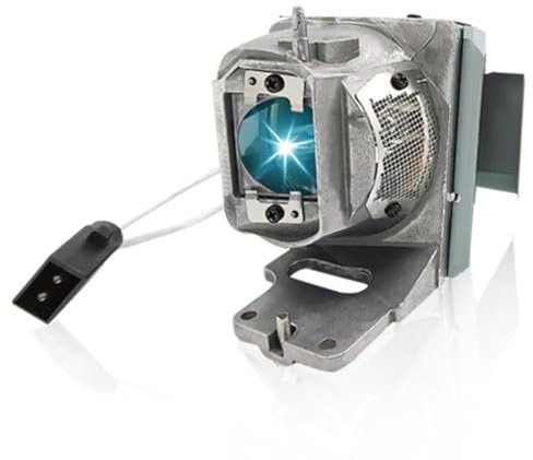 BL-FU245A/SP.7FM01GC01/SP-LAMP-101 Bombilla Lámpara para OPTOMA proyectores HD39HDR GT1080HDR EH412ST EH412 W412 X412, para INFOCUS IN130/IN130ST/IN134/IN134ST/IN136/IN136ST/IN138HD/IN138HDST