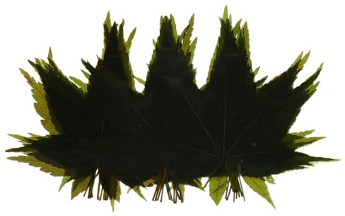 Veemoon Natural Maple Leaf Sushi Serving Tray Decoration Sashimi Platter Backdrop Leaf for Japanese Food Presentation and Party Display Food Photo Props