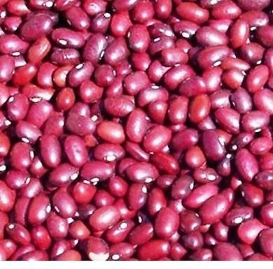 Frijol, SALVADOREÑO pequeñas de color rojo/Frijol Rojo de Seda, la herencia de Bush 300 semillas