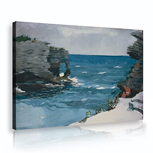 Deertweet Home Winslow Homer Wandkunst Gedruckt auf Cavnas Rocky Shore Bermuda Abstrakte Malerei Leinwand Wandkunst für Wohnzimmer Schlafzimmer Wanddekor 65x100cm Innenrahmen