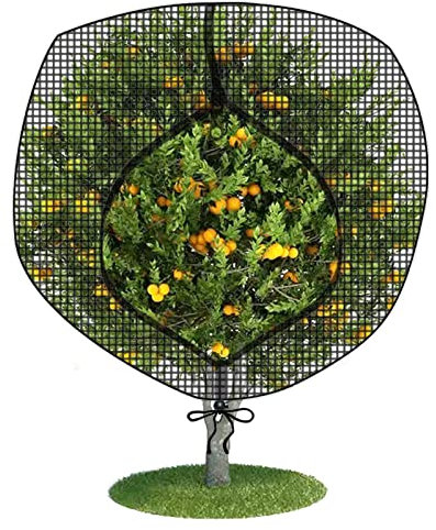 Fruit Tree Netting Covers with Zipper to Protect from Squirrels and Birds Large Netting for Fruit Trees Net Protection, Black, 71 x 75, 1 Pack