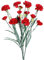 matches21 Schöne Nelke Kunstblume aus Kunststoff - künstliche Blume für Hochzeit Deko in rot - Hübscher Kunstblumenstrauß wie echt 50 cm