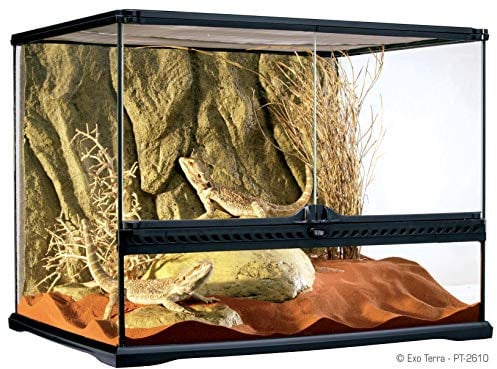 Exoterra Terrarium en Verre pour Reptiles et Amphibiens 60x45x45 cm, Transparent - noir