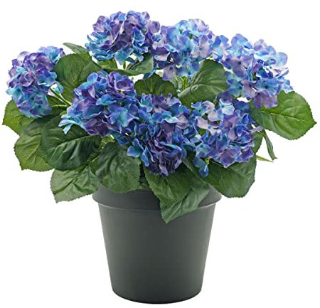 GreenBrokers Premium Quality Artificial Blue Hydrangea Flower Bush in Black Pot (50cm) with Nine Flower Clusters for Home or Outdoor Living