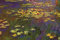 1art1 Claude Monet Nymphéas, Seerosen Selbstklebende Fototapete Poster-Tapete 180x120 cm