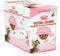 Royal Royal Feline Kitten Sterilisierter Beutel Gelatina 85gr 80 g