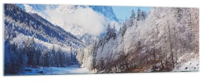 ARTTOR Bilder auf Glas 160x50cm Wandbild Glasdruck Landschaften Wald - 5226