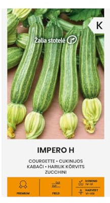 Zalia stotele | Zucchine - Semi Impero H | Semi di ortaggi | Semi di piante | Semi di zucchina | Semi da giardino | Ibrido medio precoce, molto produttivo e resistente | 1 confezione