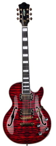 Elektrische Gitarre Anfänger Humbucker Pickup LP E Gitarre Palisander Griffbrett Professionelle Leistung Langlebig(Red)