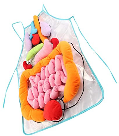 Vaguelly 1satz Anatomie Schürze Für Lernschürze Über Menschliche Organe Abnehmbar Für Frühkindliche Bildung Und Spielerisches Lernen