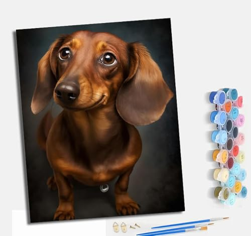 MLNMENG Pintura por números adulta pintada a mano kits de lienzo para principiantes pintura por números pintura por números para decoración del hogar Con marco(40 x 50 cm) El perro salchicha es lindo