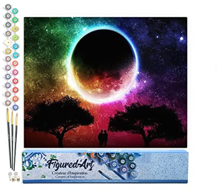 Figured'Art Peinture par Numéro Adulte Couleur de Lune - Activité Manuelle Kit de Loisir Créatif DIY Numéro d'Art Complet - 40x50cm sans châssis en bois