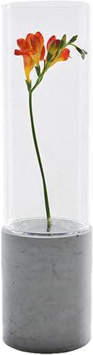 GODELMANN Vase aus hochwertigem Beton - handgefertigt Ø 6cm x Höhe 25cm in Grau I Blumenvase mit passgenauem Glas - mineralimprägniert - Made in Germany