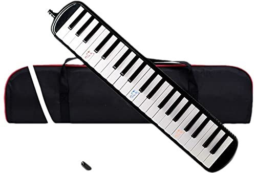 HDYNUZ 41 Tasten Melodica Klaviertastatur-Stil Musikinstrument mit Tragetasche für Anfänger und Erwachsene, Geschenk (schwarz)