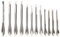 ULTECHNOVO Mini Spatula 12pcs Micro Lab Spoon Stainless Steel Spatula Metal Scraper Micro Scoop Spatula Chemistry Lab Sampling Measuring Spoon Useful Metal Measure Scoop Metal Spatula