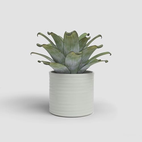 Artevasi Fortuna - Maceta de cerámica con Acabado esmaltado (28 cm), Color Crema