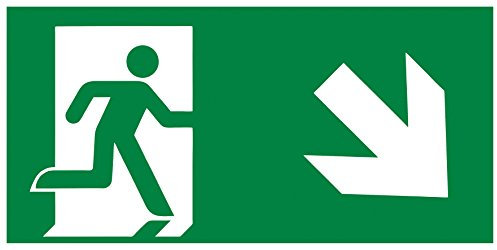 Connex DY220868 Nachleuchtendes Hinweisschild Zoll Notausgang abwärts rechts“, 300 x 150 mm nach DIN 67510 gefertigt