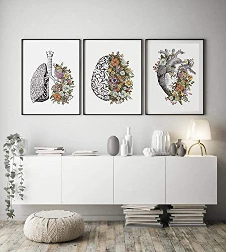 Leinwandbilder Blumen Anatomie Bilder, Herz Lunge Gehirn Medizinische Bild Krankenhaus Klinik Wandkunst Poster, Krankenhaus Klinik Wandbilder Malerei Dekoration 3er Kein Rahmen (Bilder 2,40X60CM)