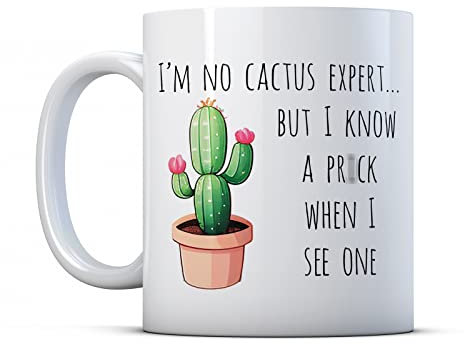 Finger prints - Mug humoristique en céramique avec inscription « I'm No Cactus Expert But I Know A Pr*ck When I See One »