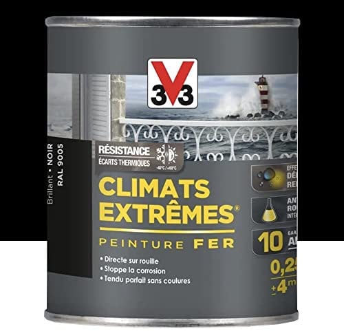 Peinture spéciale fer Climats Extrêmes®
