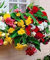 15 Semi Begonia Trailing Cascade Mix Il pellet Semi
