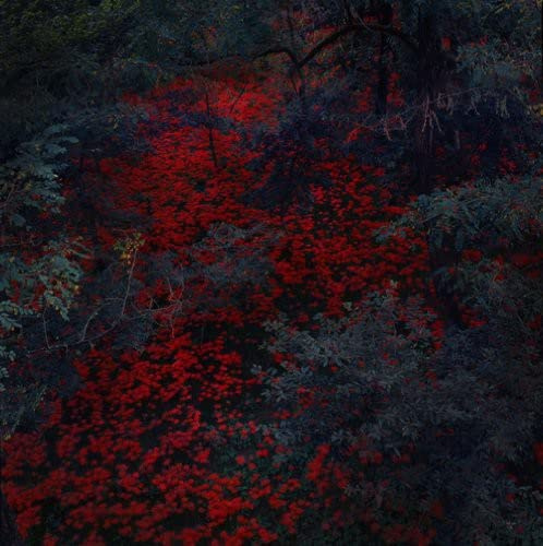 Crimson