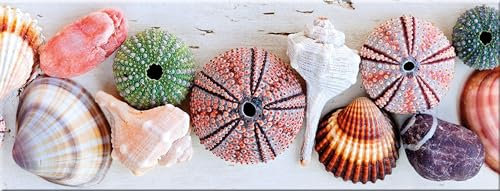 artissimo Glasbild 80x30 cm Bild Strand Muscheln AG1915A – Dekobild aus Glas, maritimes Wandbild Querformat