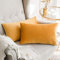 MIULEE 2er Set Samt Kissenbezug Kissenhülle Dekorative Dekokissen Sofakissen Couchkissen Wurfkissenbezug mit Verstecktem Reißverschluss Sofa Schlafzimmer Büro 12x 20 Inch 30 x 50 cm Orangegelb
