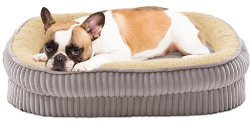 Orthopädisches Hundebett für kleine Hunderassen, stützendes Schaumstoff-Hundesofa, ovales Hundebett, Haustier-Couch-Bett mit abnehmbarem, waschbarem Bezug und rutschfester Unterseite