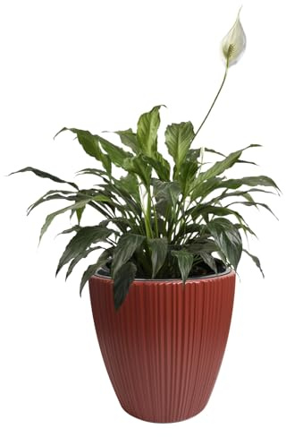 B2C Flowerpot Ridged Planter with removable insert Indoor Outdoor Modern Vertical grooves textured for home office patio garden decoration (Retro Red, W40cm x H40cm)